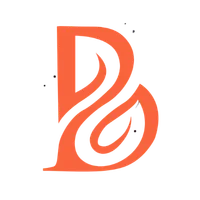 binsaleemcollection.com